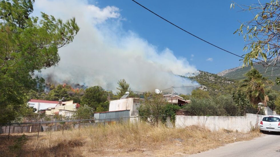 agia paraskeui menidi fotia